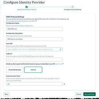 Bild som visar MongoDB identity Provider Config
