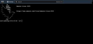 Image showing connection to EC2 instance.