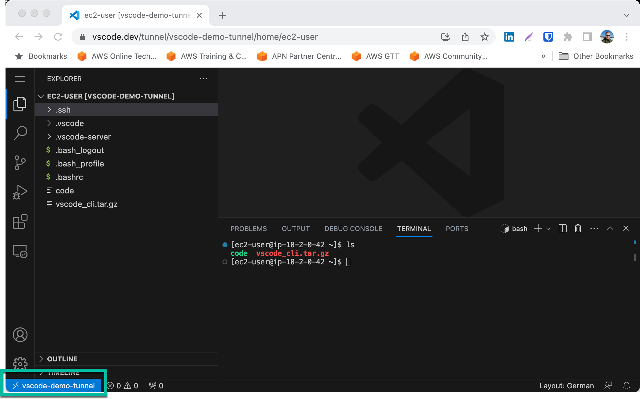Image showing VSCode client running.